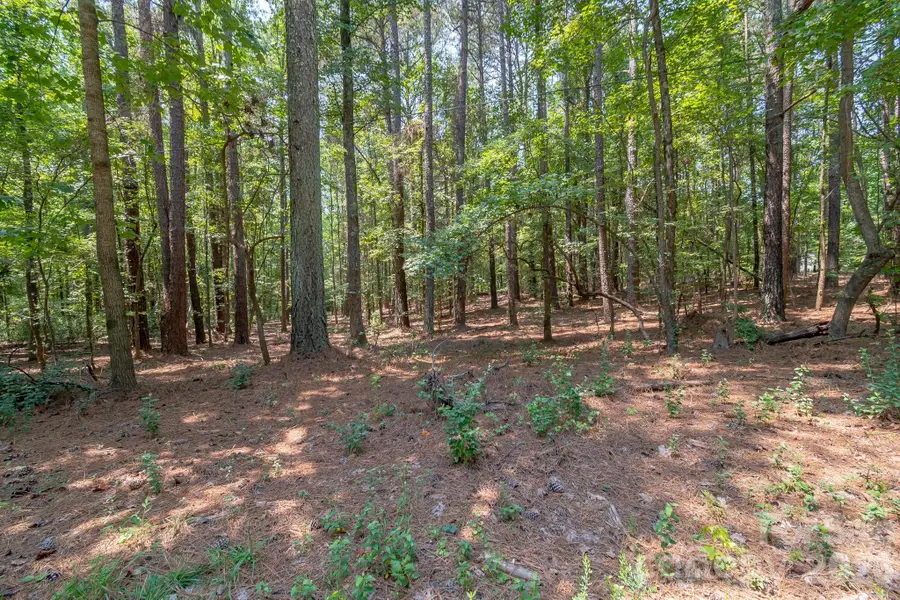 5316 Rehobeth Road, Waxhaw, NC 28173 - #3