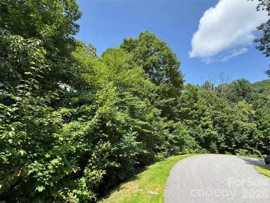 352 High Hickory Trail #20, Swannanoa, NC 28778 - #2
