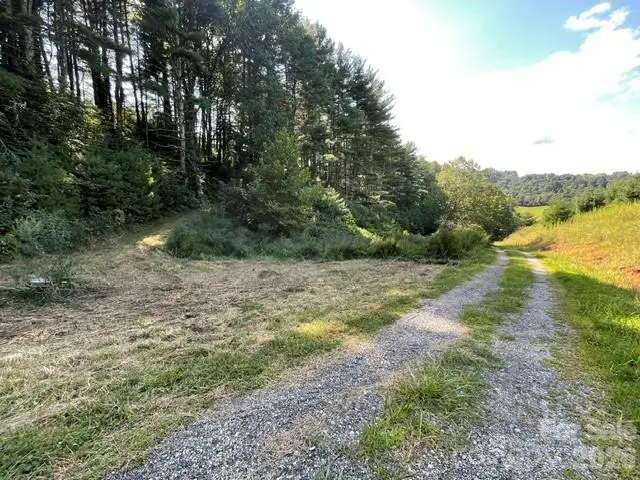 1005 Roberts Branch Road, Marshall, NC 28753 - #2