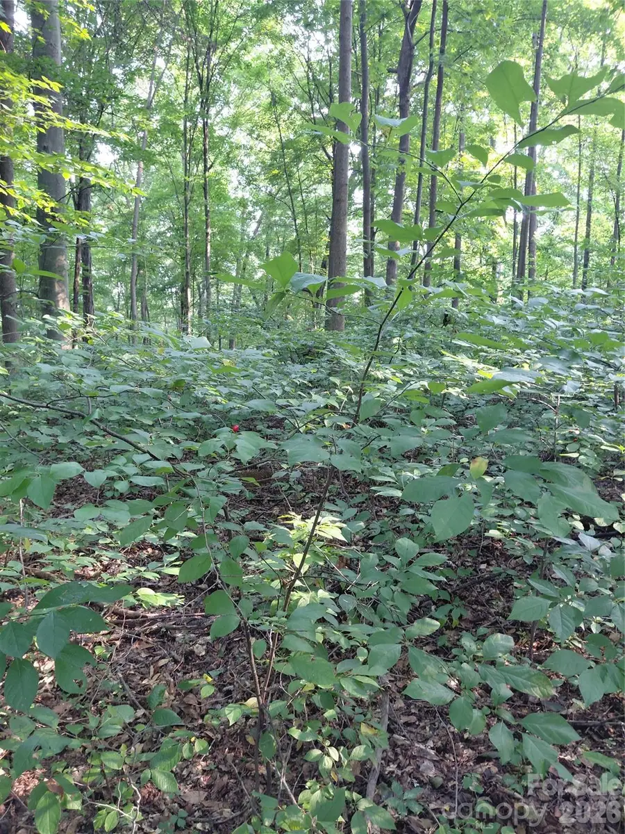 000 Stratton Farm Road, Huntersville, NC 28078 - #2