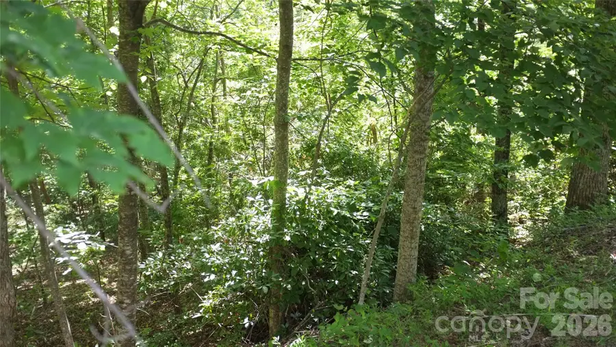 11 & 21 Sunset Ridge Drive #21 & 11, Columbus, NC 28722 - #2