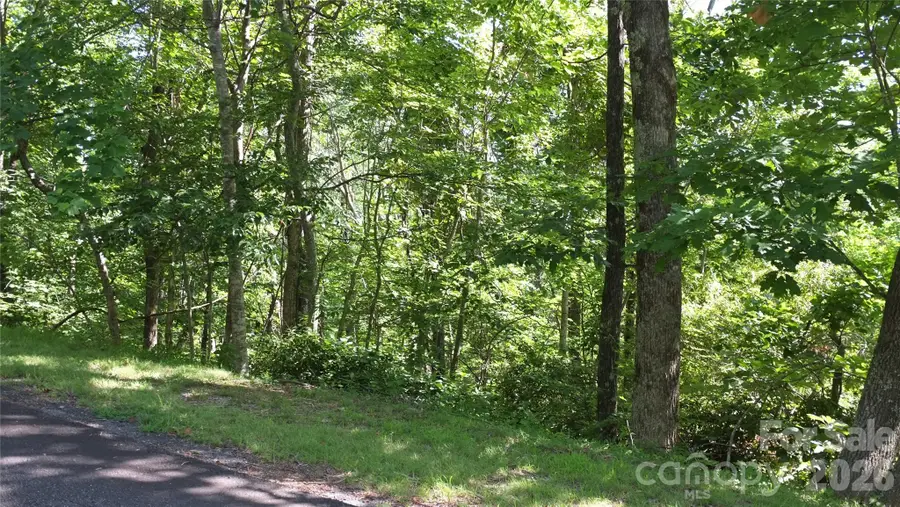 11 & 21 Sunset Ridge Drive #21 & 11, Columbus, NC 28722 - #3