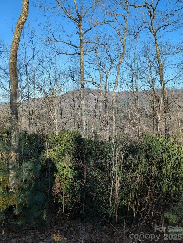 21 Hidden River None, Hayesville, NC 28904