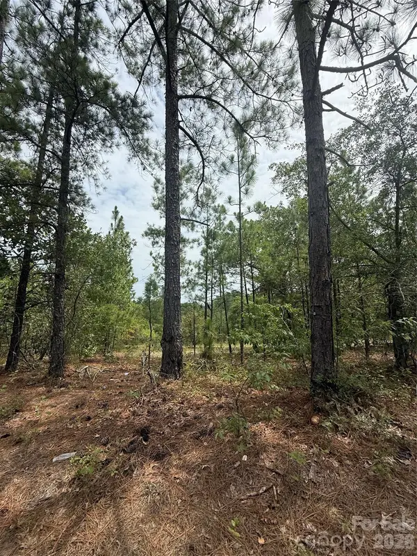 TBD Sheridan Oliver Road, Ruby, SC 29741