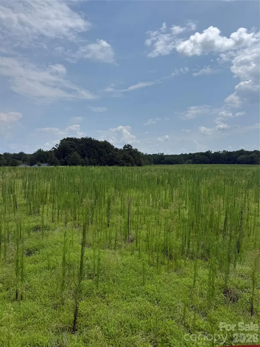 2.95+/-AC Neal Road #LOT 13, Bessemer City, NC 28016 - #2
