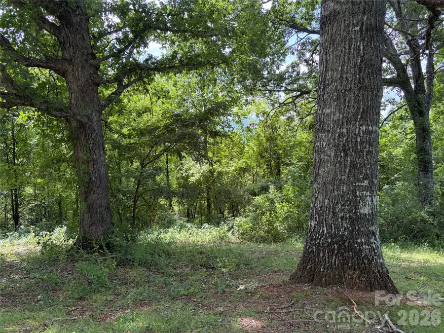 61 Sugar Maple Drive, Black Mountain, NC 28711 - #2