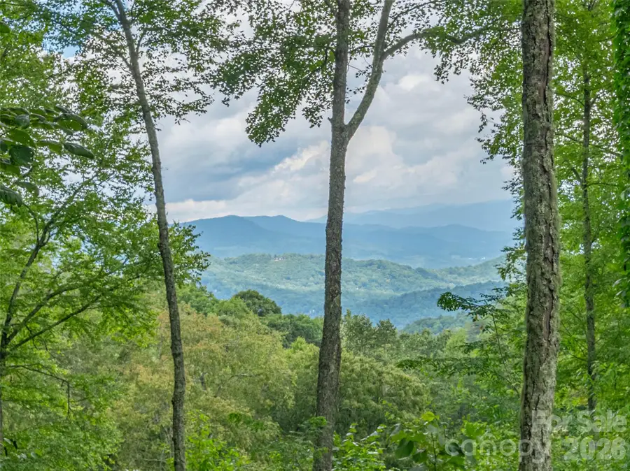332 Gadohi Trail, Maggie Valley, NC 28751 - #3