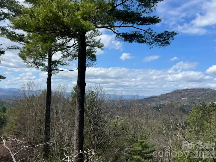 2902-A Timber Trail, Asheville, NC 28804 - #3