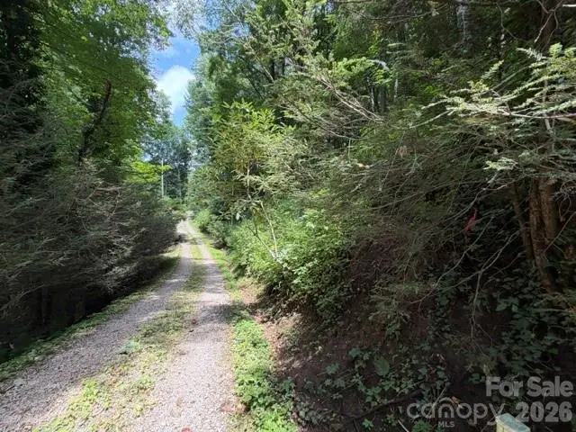 Lot 33-A Sara Ridge Road, Waynesville, NC 28786 - #3