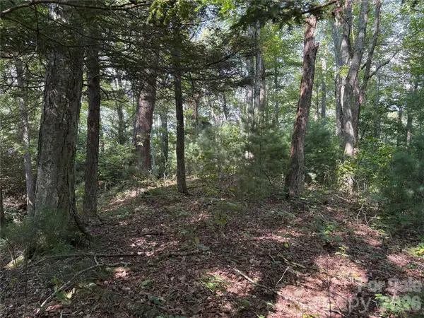 00 Early Frost Place #98, Waynesville, NC 28785