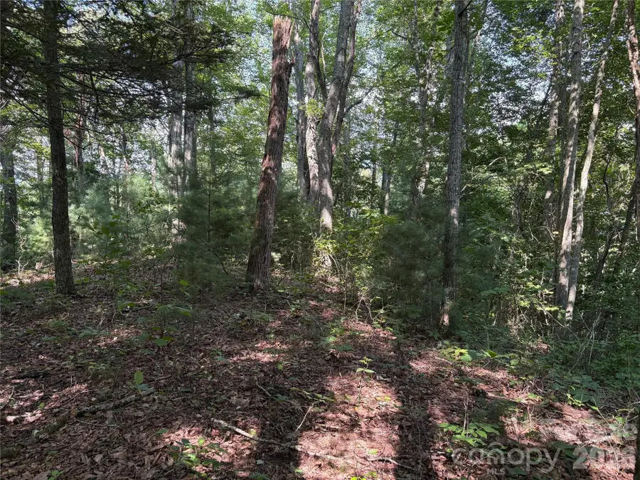 00 Early Frost Place #98, Waynesville, NC 28785 - #2