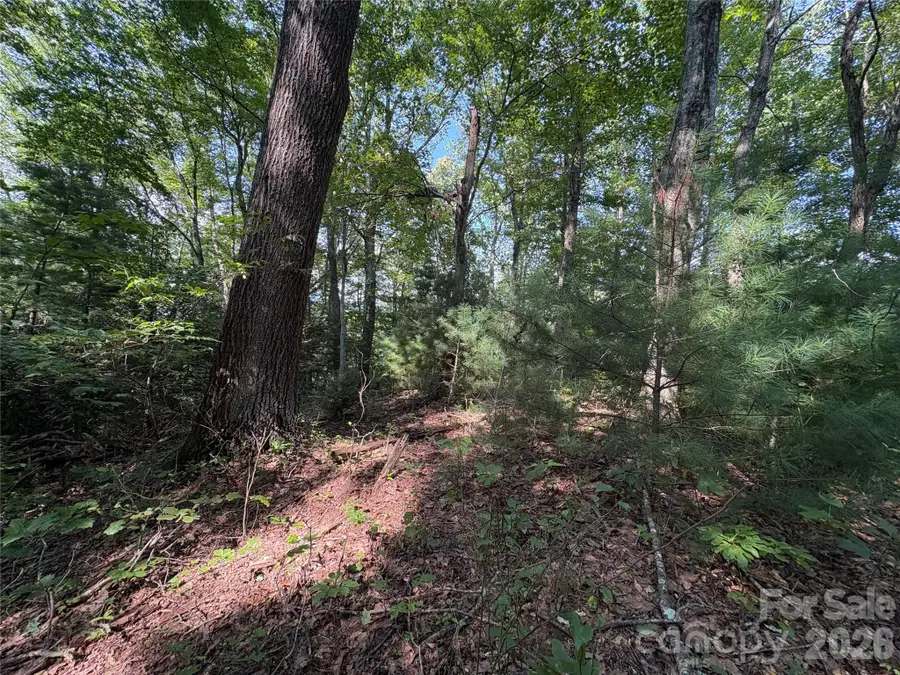 00 Early Frost Place #98, Waynesville, NC 28785 - #3