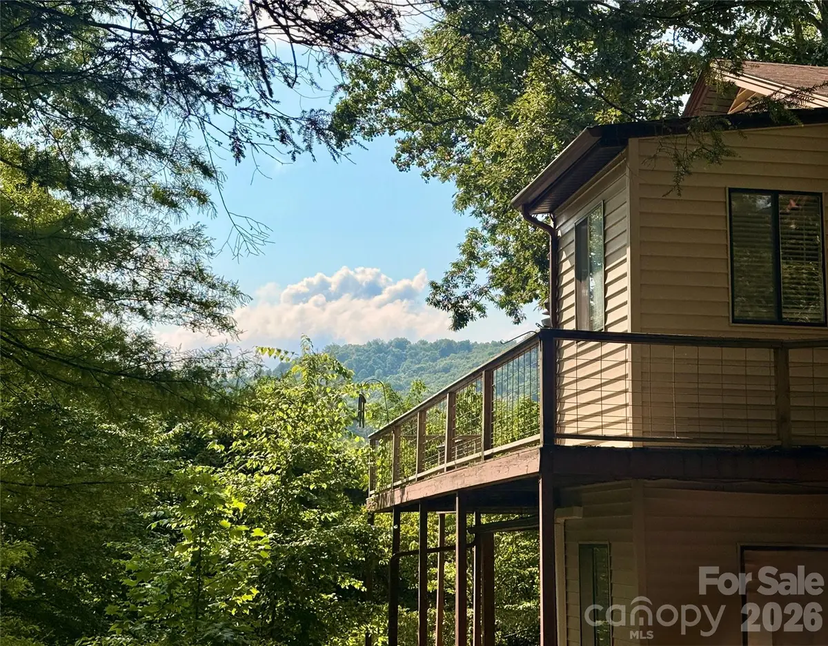 218 Mcguffey Ridge Road, Gerton, NC 28735 - #1