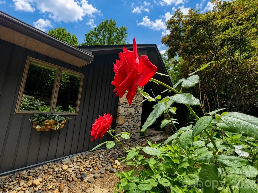 1105 High Vista Drive, Mills River, NC 28759 - #3