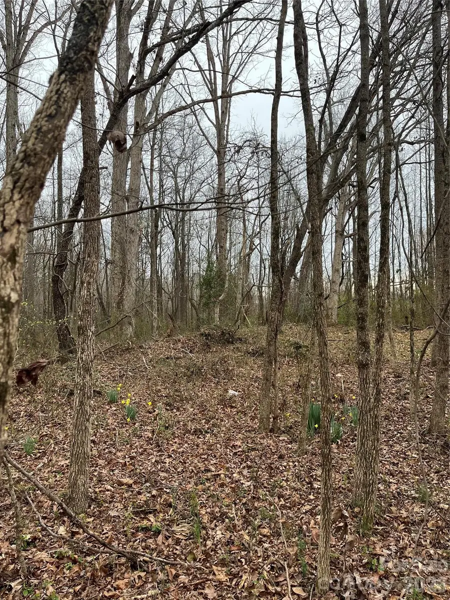 417 Davis Road, Shelby, NC 28152 - #2