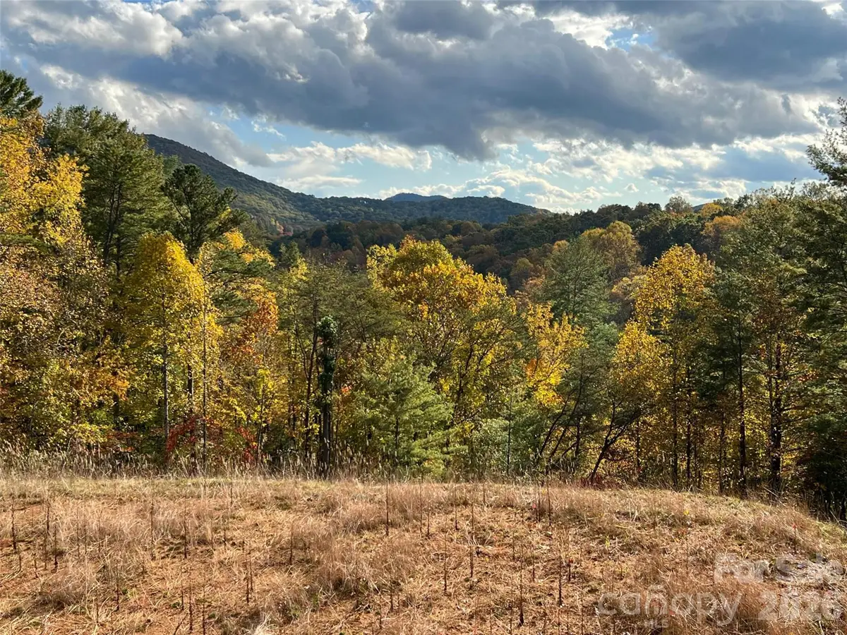165 Riverbend Forest Drive #11, Asheville, NC 28805 - #1