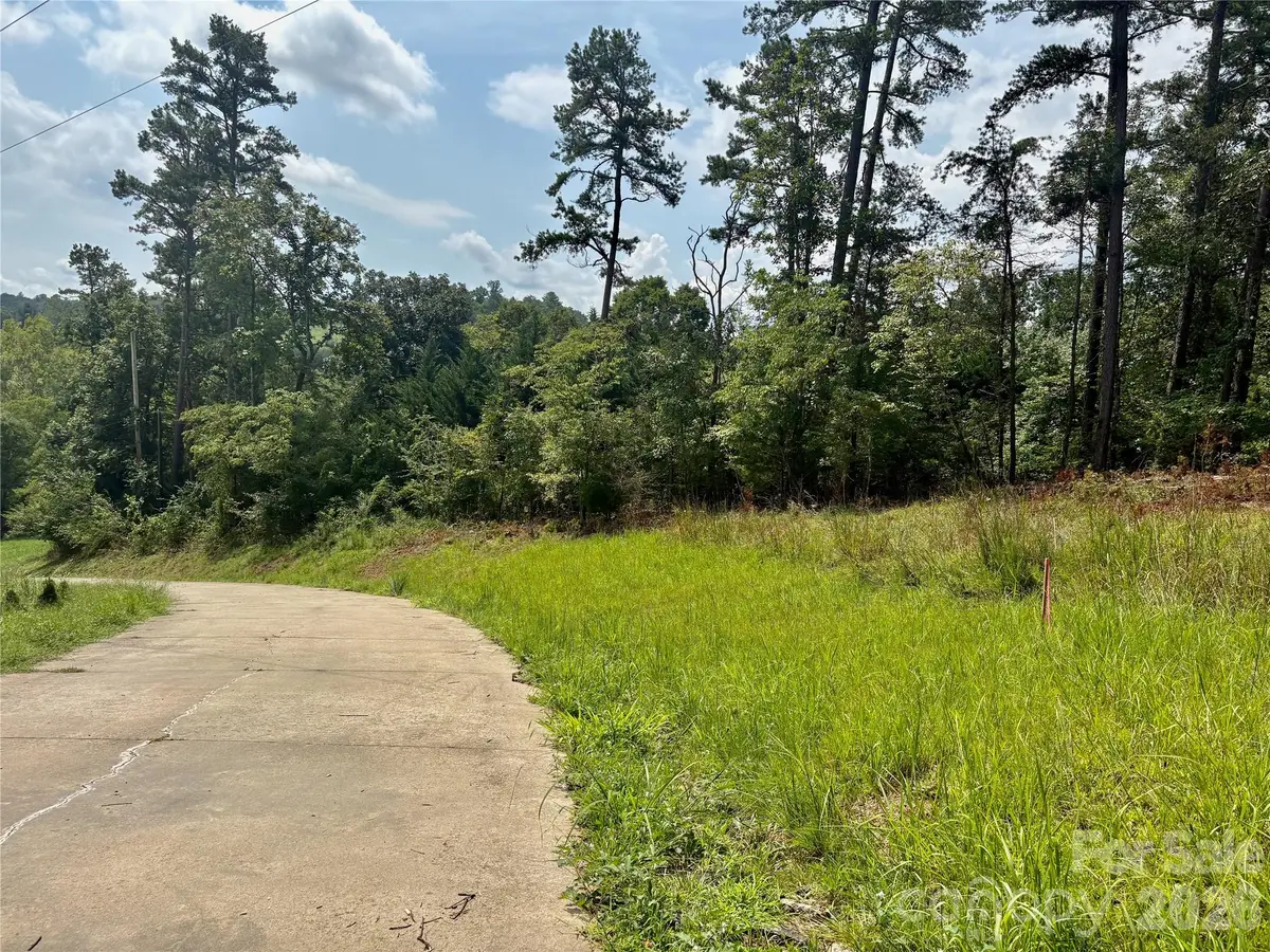 9999 Wescott Way, Alexander, NC 28701 - #1