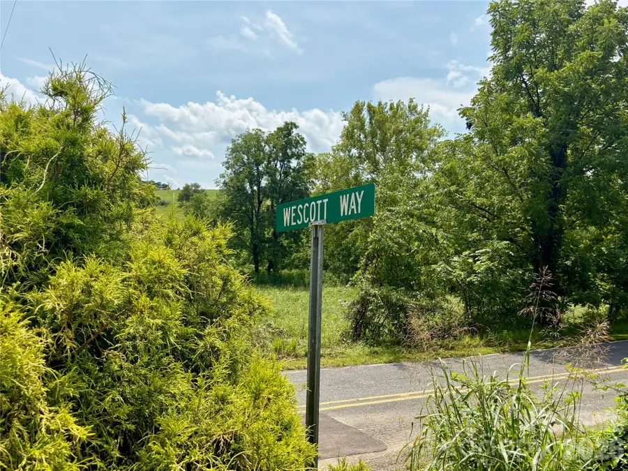 9999 Wescott Way, Alexander, NC 28701 - #2
