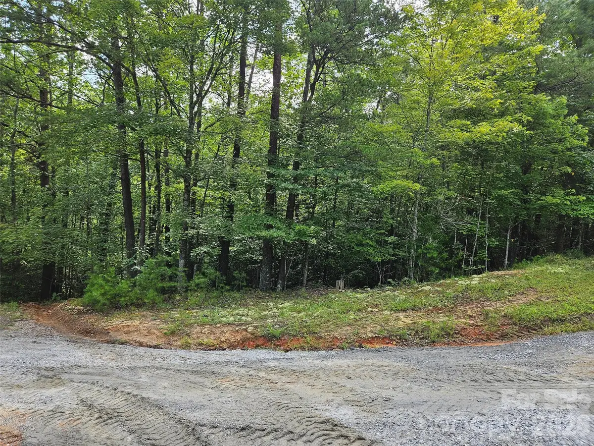 0 Hawks Terrace #313, Lake Lure, NC 28746 - #1