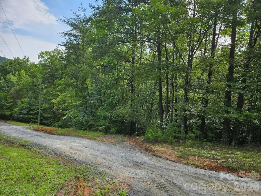 0 Hawks Terrace #313, Lake Lure, NC 28746 - #3