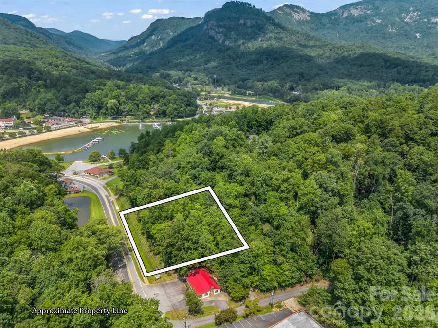 286 Harris Road, Lake Lure, NC 28746 - #2