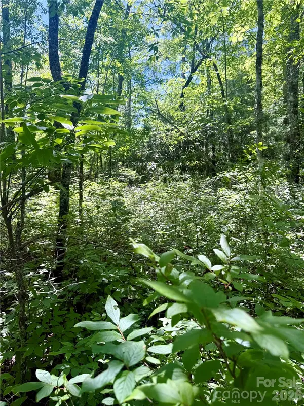 TBD Indian Lake Road #32, Lake Toxaway, NC 28747