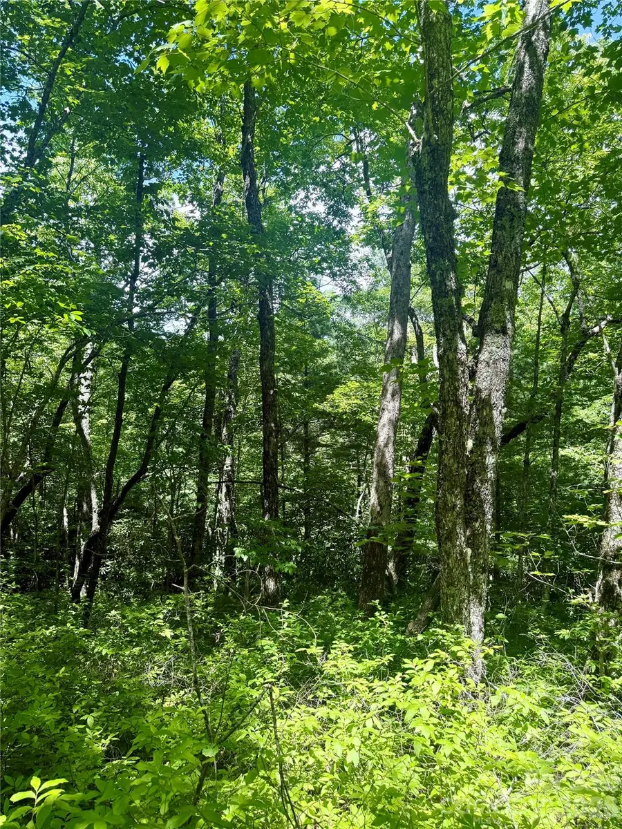 TBD Indian Lake Road #32, Lake Toxaway, NC 28747 - #2