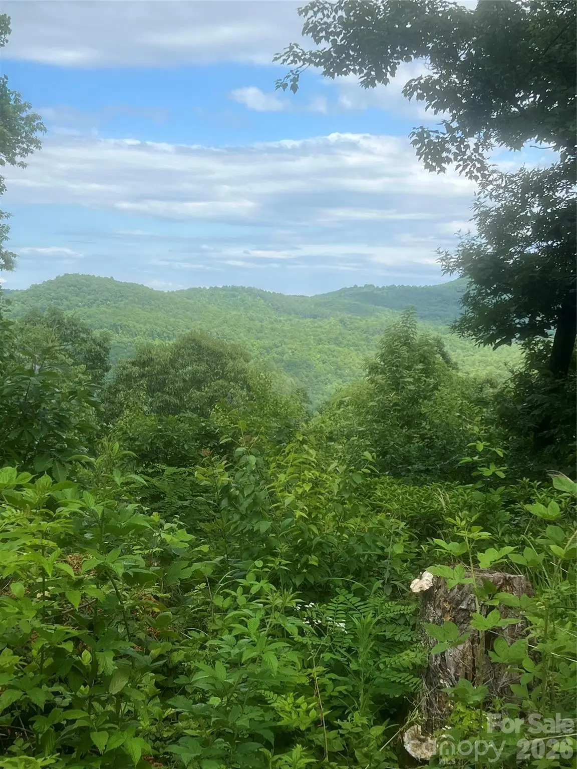 71, 72, 73 High Peak Road, Hendersonville, NC 28792 - #1