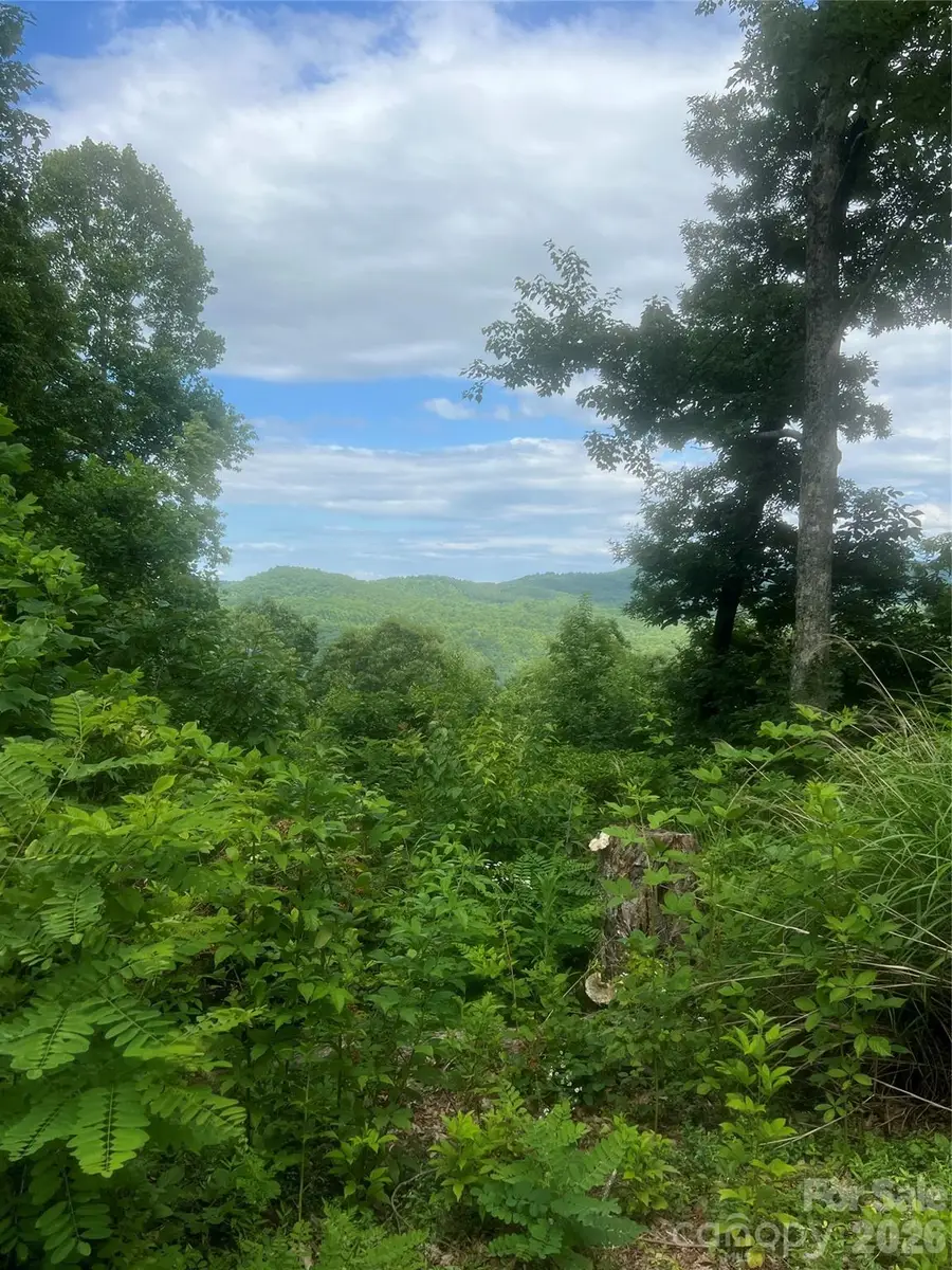 71, 72, 73 High Peak Road, Hendersonville, NC 28792 - #3