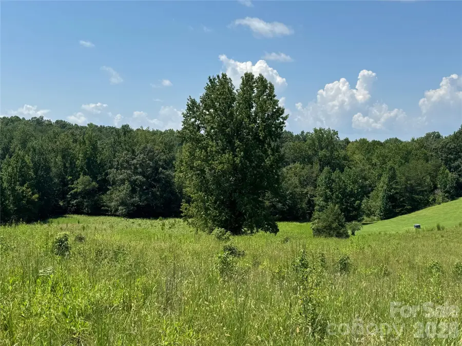 0 Poors Ford Road, Rutherfordton, NC 28139 - #3