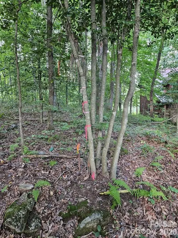 00 Hannah Hill Road #3, Maggie Valley, NC 28751 - #3