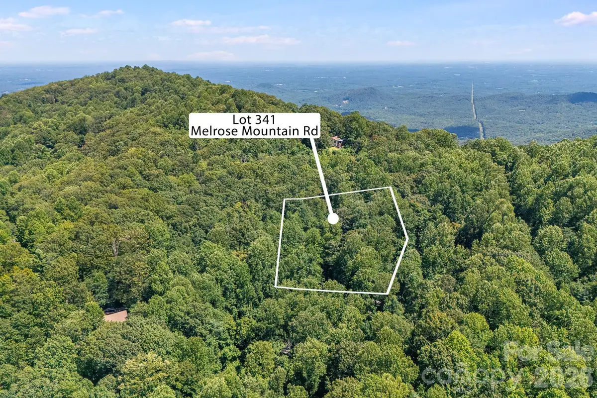 LOT 341 Melrose Mountain Road, Tryon, NC 28782 - #1