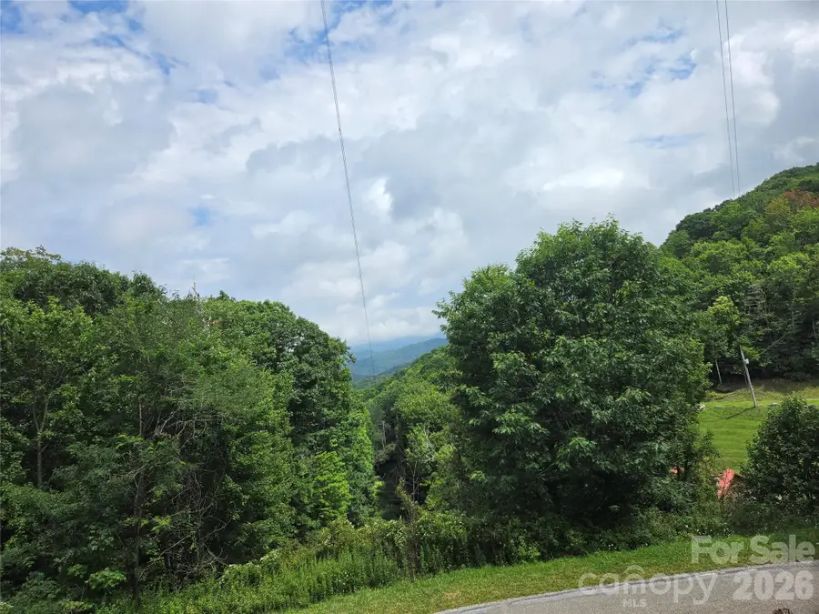 701 Pigeon Roost Road, Banner Elk, NC 28604 - #2