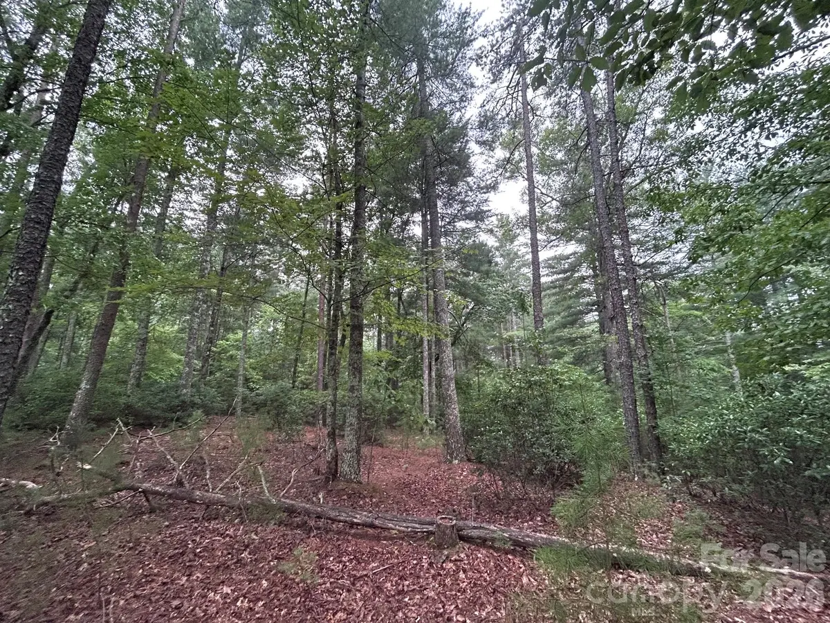 59 Captains Drive #224, Nebo, NC 28761 - #1