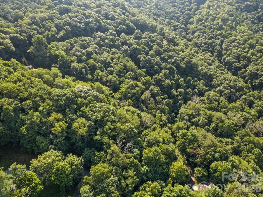 Lot #69 Twisted Trail #69, Waynesville, NC 28786 - #3