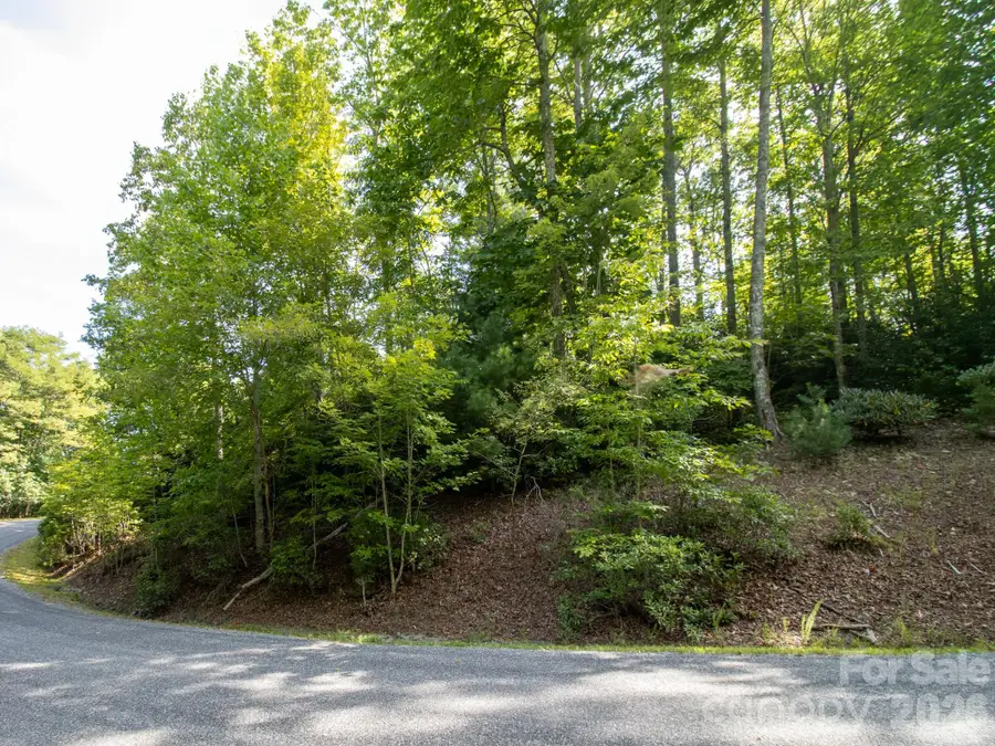 TBD Kelly Mountain Road #19, Brevard, NC 28712 - #3