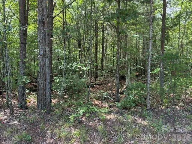 Lot 33 Justice Drive #33, Lake Lure, NC 28746 - #2
