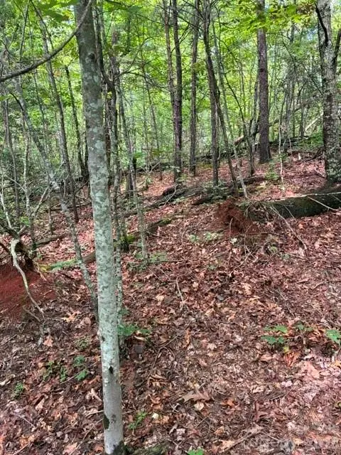 Lot 33 Justice Drive #33, Lake Lure, NC 28746 - #3