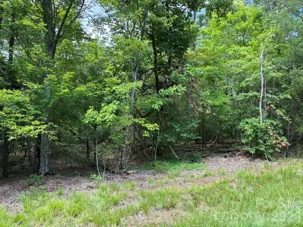LOT 32 Justice Drive #32, Lake Lure, NC 28746