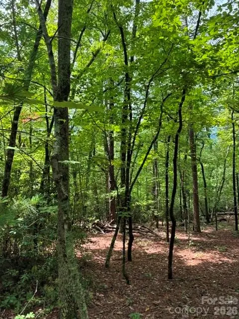 LOT 32 Justice Drive #32, Lake Lure, NC 28746 - #3