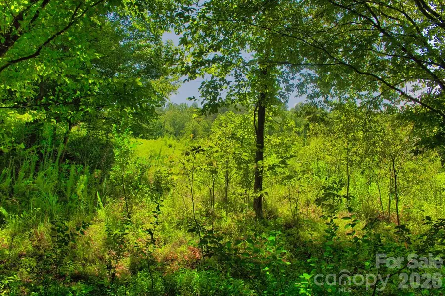 0 Clearwater Parkway #238, Rutherfordton, NC 28139 - #3