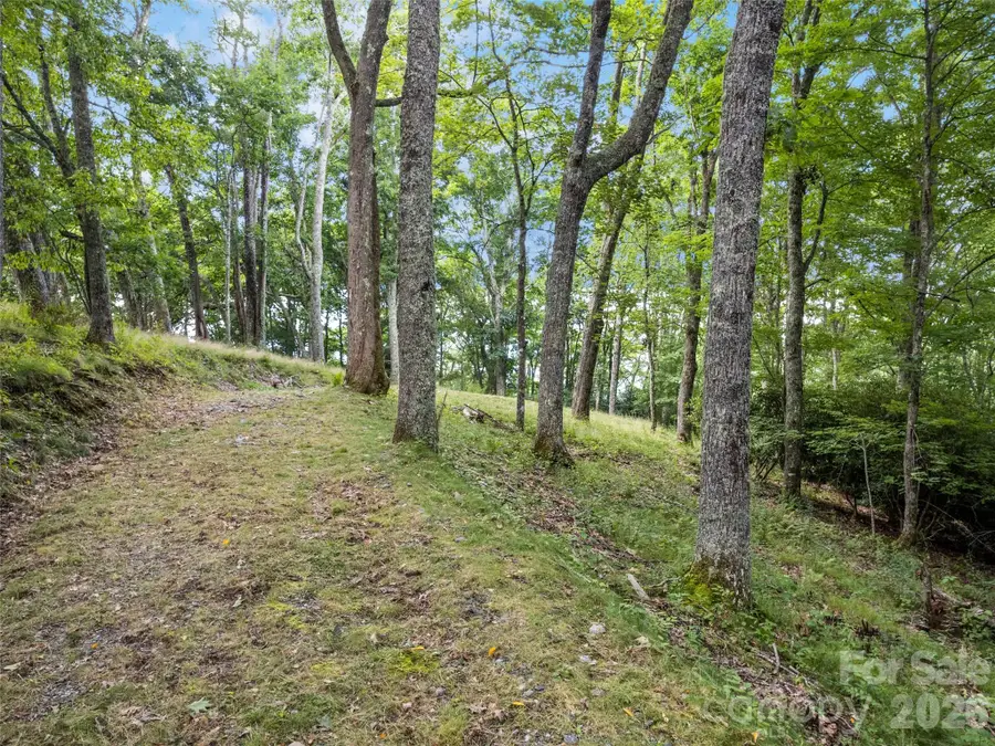 000 Wagon Trail Road, Maggie Valley, NC 28751 - #3