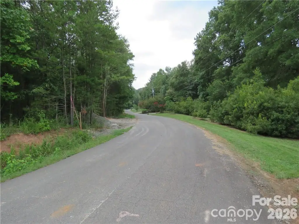 TBD Agnes Douglas Road, Indian Land, SC 29707 - #1