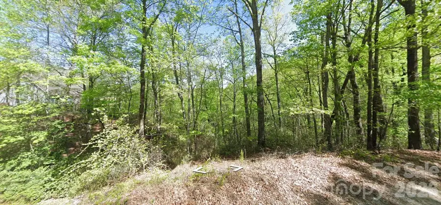 0 Buzzards Place, Lake Lure, NC 28746 - #2