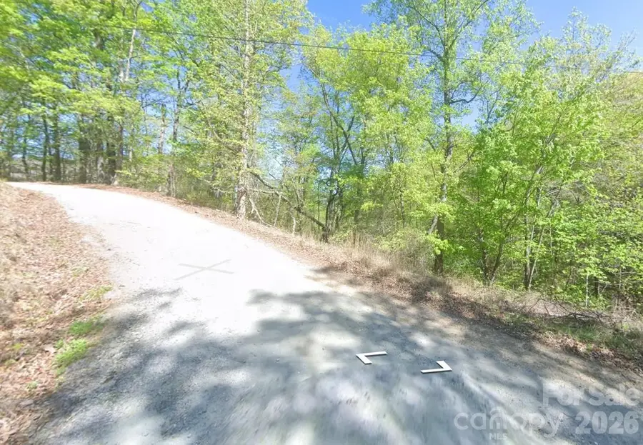 0 Buzzards Place, Lake Lure, NC 28746 - #3