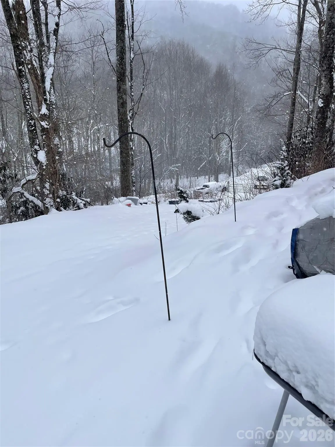 1526 Pine Mountain Road, Creston, NC 28615 - #1