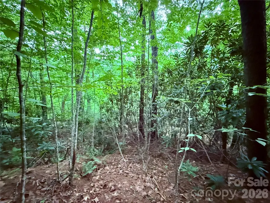 TBD Parkway View Lane #L1, Penrose, NC 28766 - #3