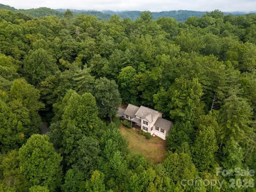62 Pine Hill Drive, Brevard, NC 28712 - #3