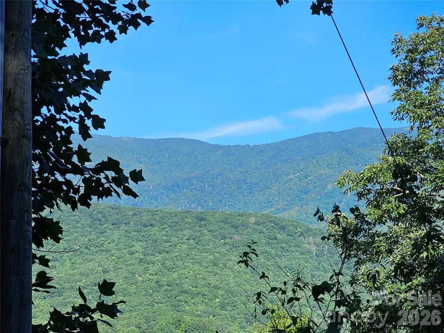 102 Big Ridge Road #102, Burnsville, NC 28714 - #3