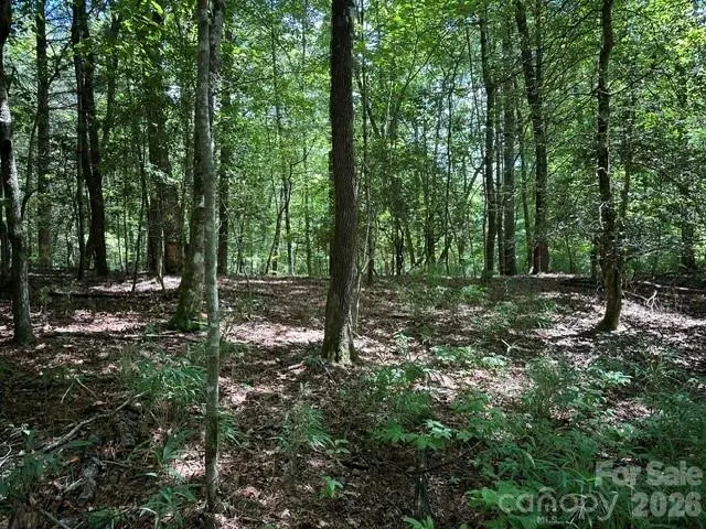 TBD Blossom Road, Brevard, NC 28712 - #1